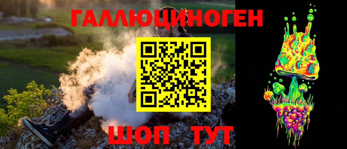 Нурлат  Псилоцибиновые грибы мицелий  Вход с VPN  Псилоцибиновые грибы Psilocybine cubensis 