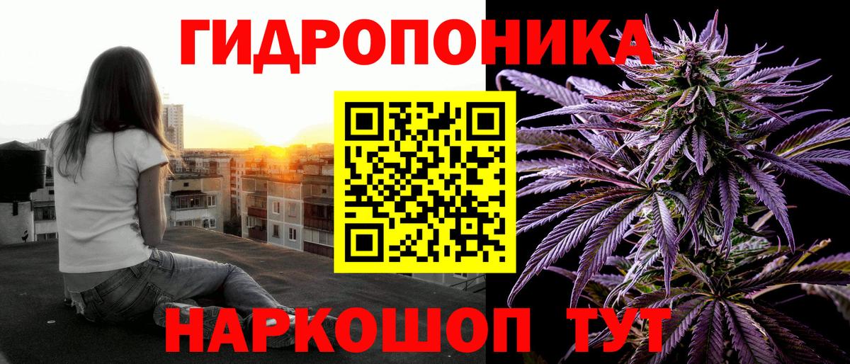 Бошки марихуана гибрид Нурлат